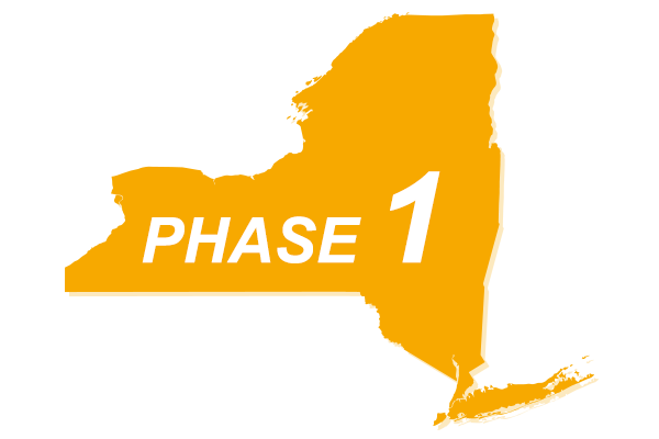 New York Phase 1 Reopening