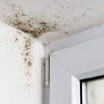 mold-in-corner-on-drywall