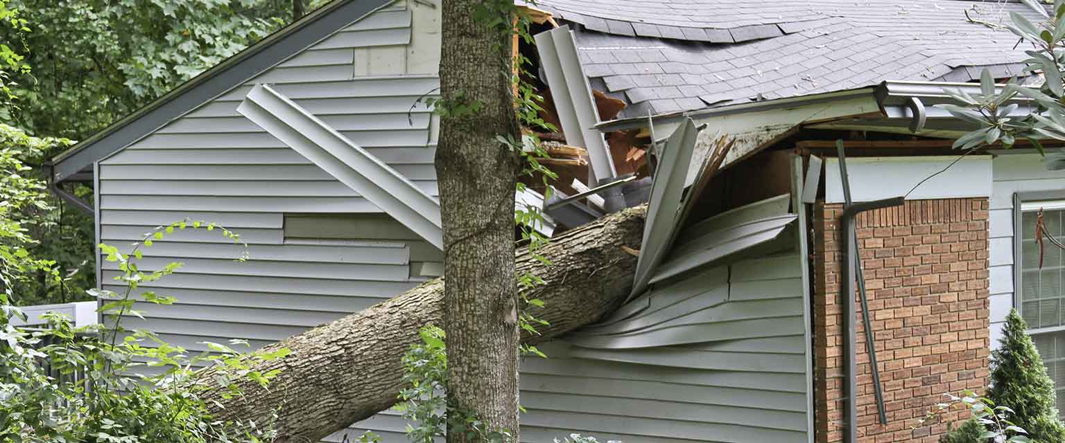 House Damaged By Tree During Storm