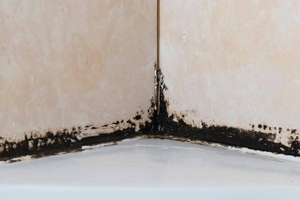 black-mold-in-corner-of-shower